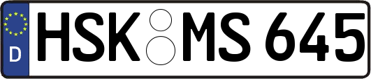 HSK-MS645