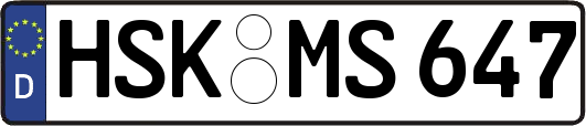 HSK-MS647
