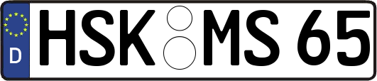 HSK-MS65