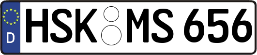 HSK-MS656