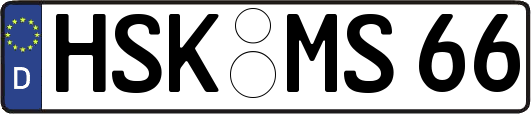 HSK-MS66
