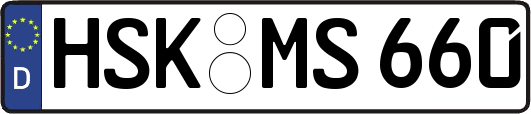 HSK-MS660