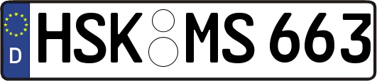 HSK-MS663