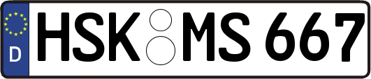 HSK-MS667