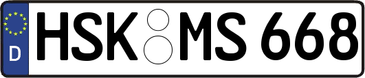 HSK-MS668