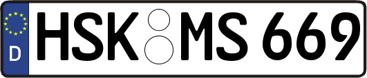 HSK-MS669