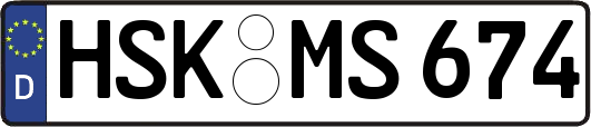 HSK-MS674