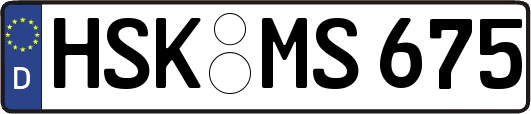 HSK-MS675