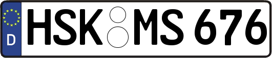HSK-MS676
