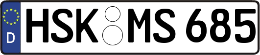 HSK-MS685
