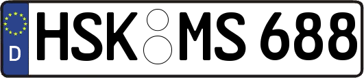 HSK-MS688