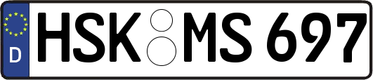 HSK-MS697