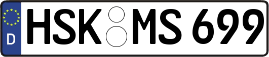 HSK-MS699