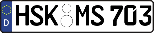 HSK-MS703