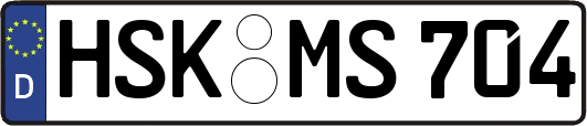HSK-MS704