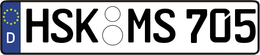 HSK-MS705