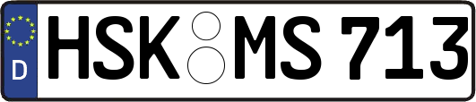 HSK-MS713