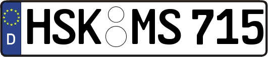 HSK-MS715