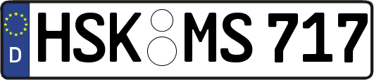 HSK-MS717