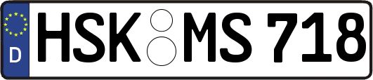 HSK-MS718