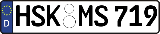 HSK-MS719