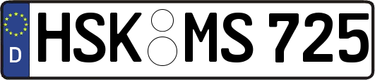 HSK-MS725