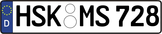 HSK-MS728