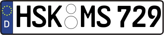 HSK-MS729