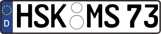 HSK-MS73