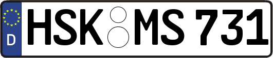 HSK-MS731