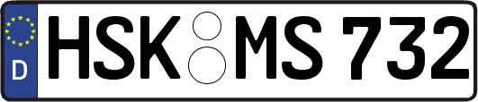 HSK-MS732