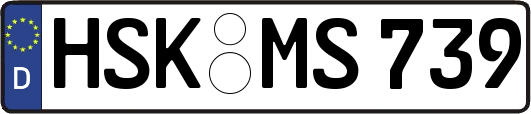 HSK-MS739