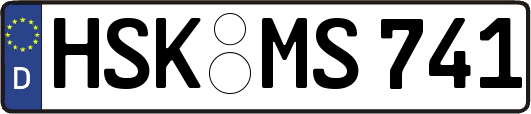 HSK-MS741