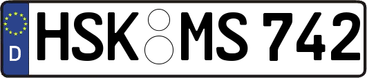 HSK-MS742