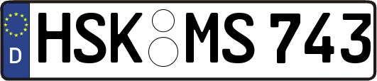 HSK-MS743
