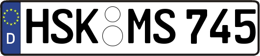 HSK-MS745
