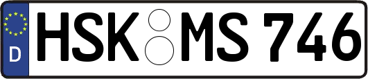 HSK-MS746