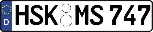 HSK-MS747