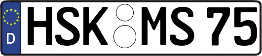 HSK-MS75