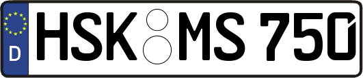 HSK-MS750