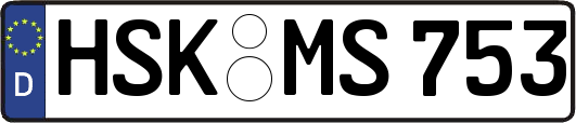 HSK-MS753