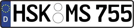 HSK-MS755