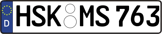 HSK-MS763