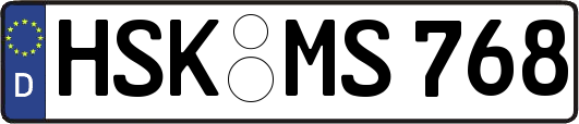 HSK-MS768