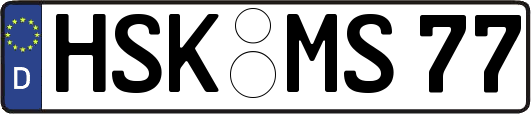 HSK-MS77