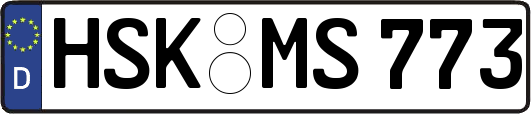 HSK-MS773