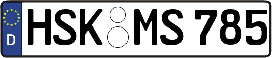 HSK-MS785