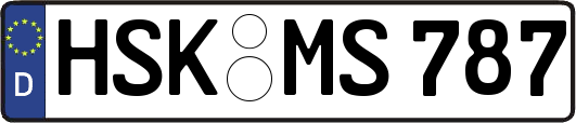 HSK-MS787