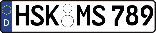 HSK-MS789