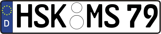 HSK-MS79